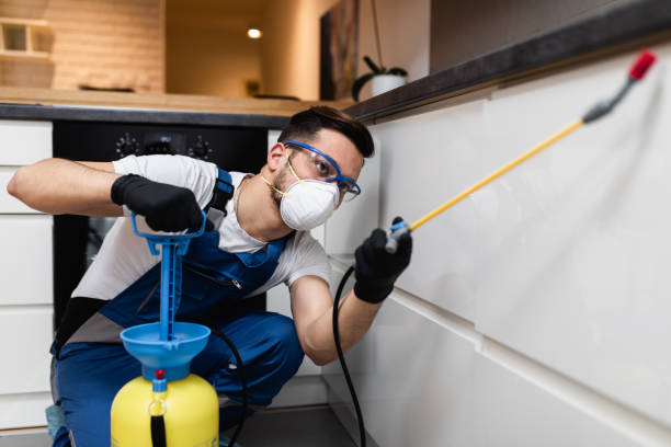 Trusted Fife, WA Pest Control Experts