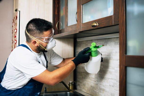 Best Affordable Pest Control Services  in Fife, WA