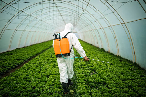 Best Best Pest Control Companies  in Fife, WA