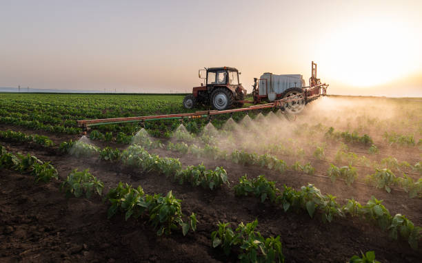 Best Commercial Pest Control Services  in Fife, WA