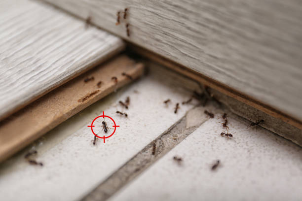 Best Wildlife Control Services  in Fife, WA