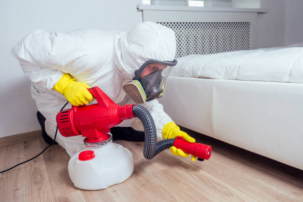 Best Insect Control  in Fife, WA