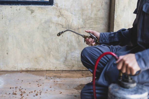 Best Rat Extermination Near Me  in Fife, WA
